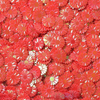 FUFUSQUISHY Red Flower Mini Charms for DIY Crafts & Squishy Ball Fillers – 60g Bag, 500+ Pieces