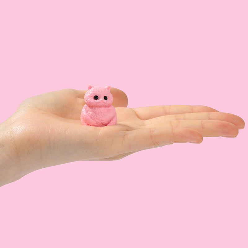 7PC Mini Cat Taba Squishy – FUFUSQUISHY