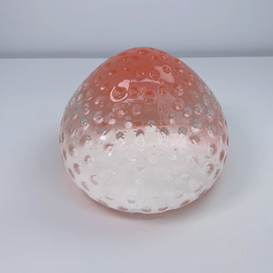 2100g Crystal Strawberry Squishy