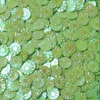 FUFUSQUISHY Green Flower Mini Charms for DIY Crafts & Squishy Ball Fillers – 60g Bag, 500+ Pieces